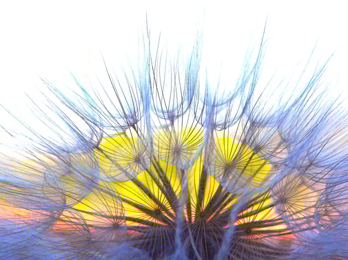 Phasen eines Burnouts - Sabine Fels