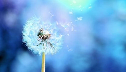 Hilfe durch Gestalttherapie - Sabine Fels