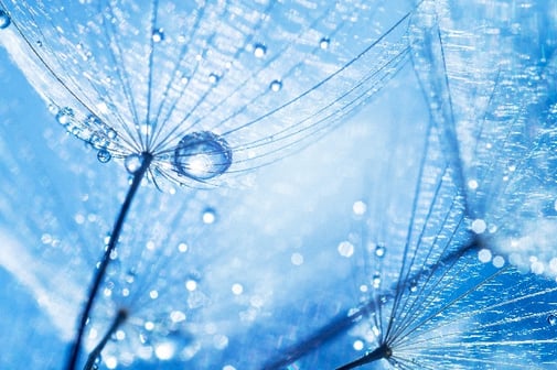 Yoga der Energie - Sabine Fels