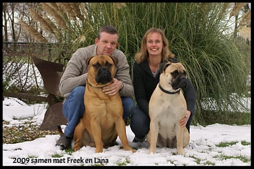 Hugo en Greetje samen met onze eerste 2 bullmastiffs 2009