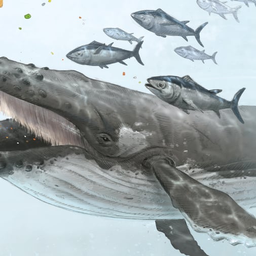 Ausschnitt der Visualisierung © Michael Stünzi