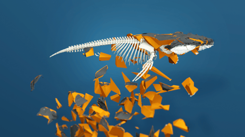 Unterwasserlärm hat verheerende Folgen (Ausschnitt aus dem Film) Underwater Noise © Michael Stünzi