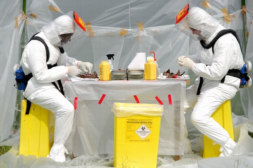 Ebola en laboratoire P4
