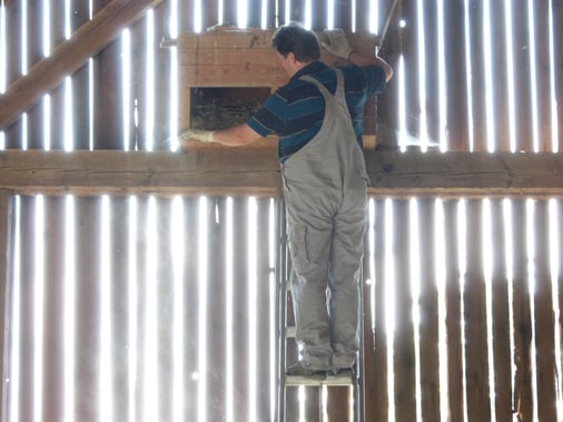 Wartung eines Nistkastens © Lothar Karsch