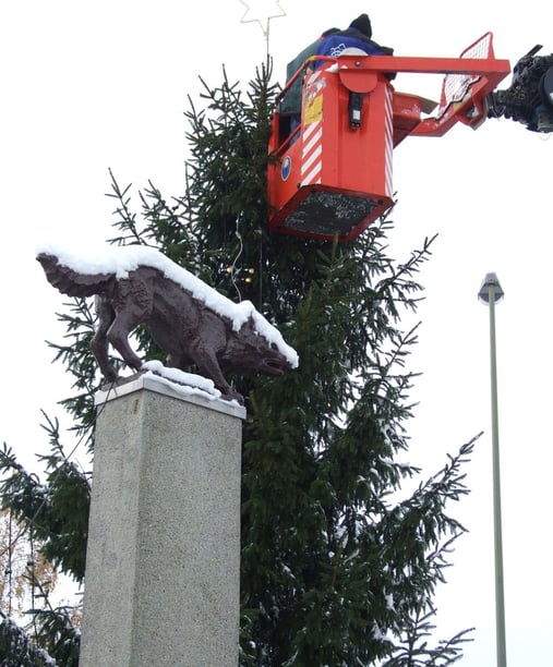 Er besitzt ein Denkmal neben dem Volg in Wolfhausen, ist aber eher nicht das Wappentier des Bubiker Dorfteils. (Bild: buebikernews)