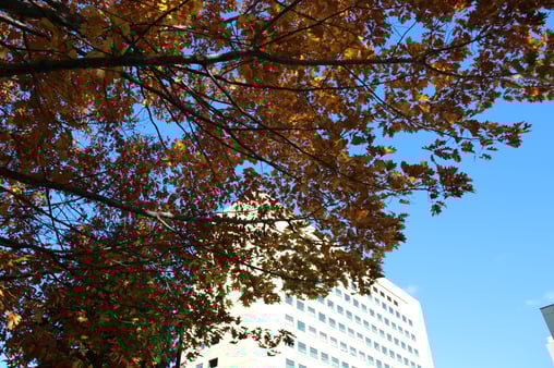 札幌医科大学附属病院 正面玄関より東棟を望む