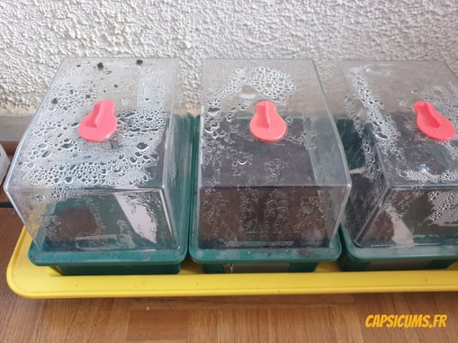 Mini-serre chauffante