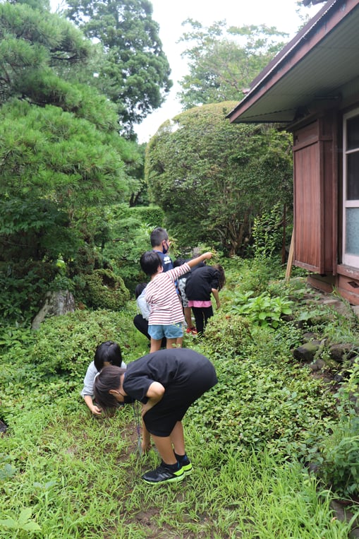 おとまりの時間2日目―「おそうじの時間」で草むしり中