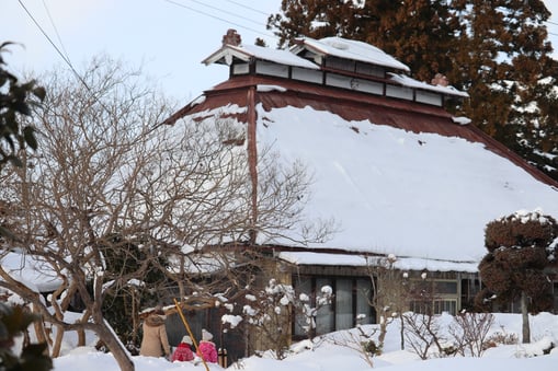 雪の芸術大学校