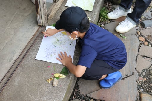 植物で描こう―葉っぱと石で「緑画」を製作中