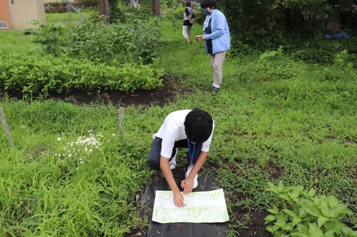 植物で描こう―畑もアトリエに