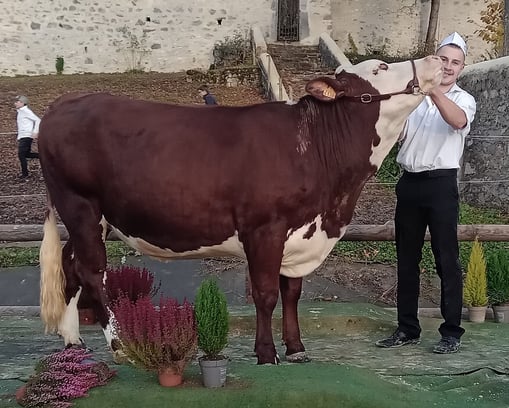 Antoine PRESSET : grand vainqueur du concours jeunes meneurs