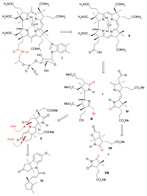 Vitamine B12 : rétrosynthèse