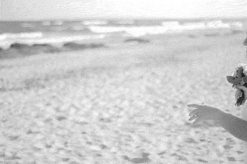 fotografo, fotografo aranjuez, fotos de boda, fotografo de bodas, fotografo de eventos, fotografo madrid, fotografo profesional madrid