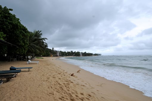Front of the Bungalow