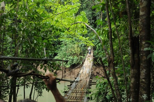 Brooklyn Bridge - Bahia Drake 2010