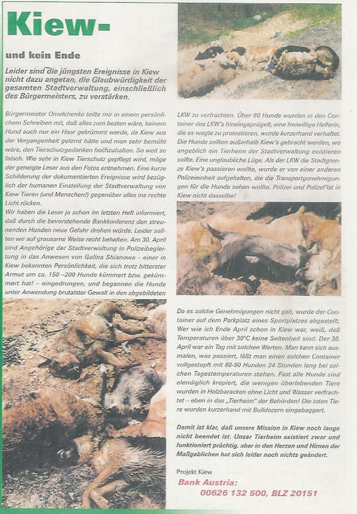 Kiew und kein Ende....