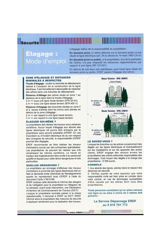 Elagage et voisinage