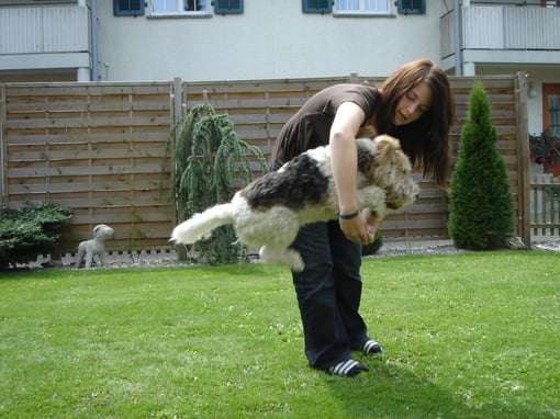 Quick springt durch die Arme