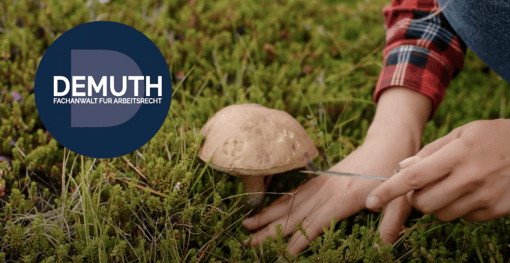 Wir sehen eine Detailaufnahme von einem Pilz und eine Person die diesen abschneidet