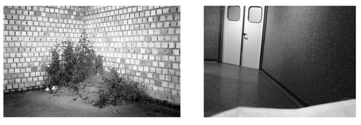 Despertar es la pesadilla