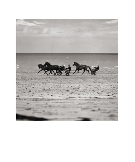 LA MANCHE UN REGARD SINGULIER