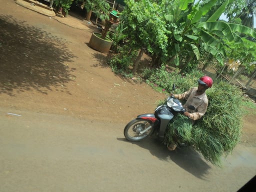 ©KRUMMENACHER SACHEN