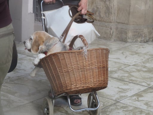 ©KRUMMENACHER SACHEN