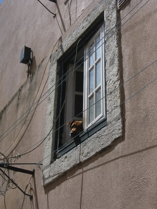 ©KRUMMENACHER SACHEN