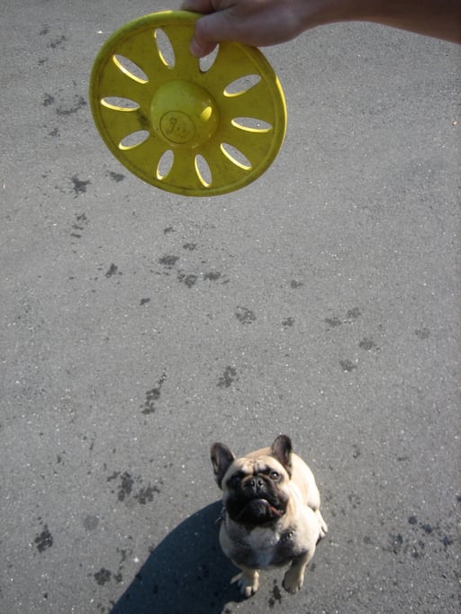 ©KRUMMENACHER SACHEN