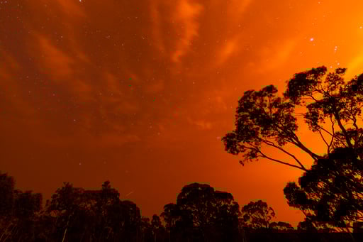 Bushfire Skies