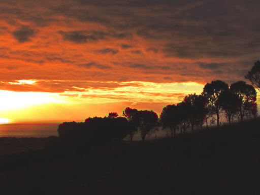 Backstairs Passage im Abendlicht
