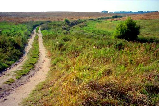wir radelten einfach der Sonne entgegen