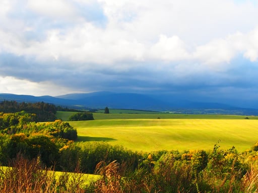 unbebaute Fluren, keine Strassen störten dasen Blick
