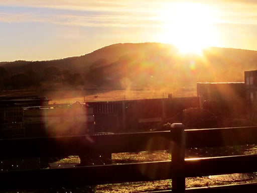 Morgenstimmung in Georgetown - das Land bis zu den Bergen gehört der Familie Ringsgwandl