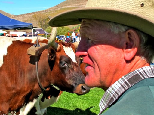 fast ein Marlboro-Motiv