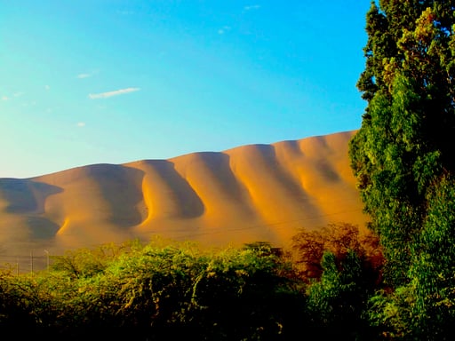 am frühen Morgen präsentiert sich die Wüste am schönsten
