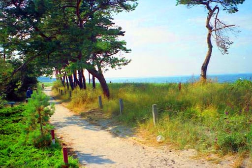 eine wunderbares Hochsommer-Wetter begleitete uns