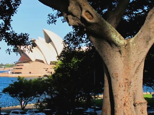 wunderbarer Blick hinüber zur Opera