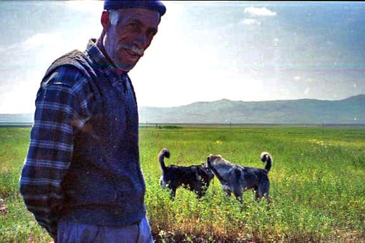 ein Bauer mit seinen Hirtenhunden