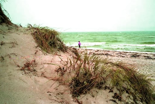 hinter der Dünung die stark rauschend Brandung der Ostsee