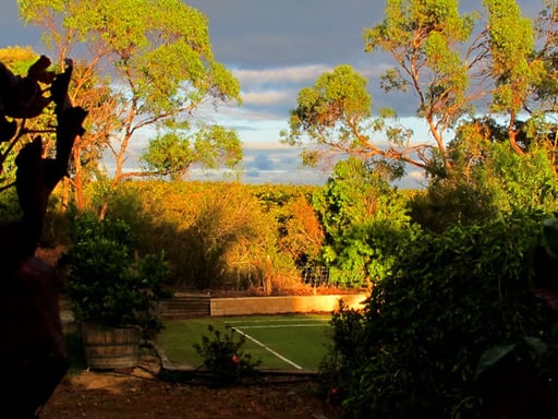 Weingut in der Nähe von Willunga