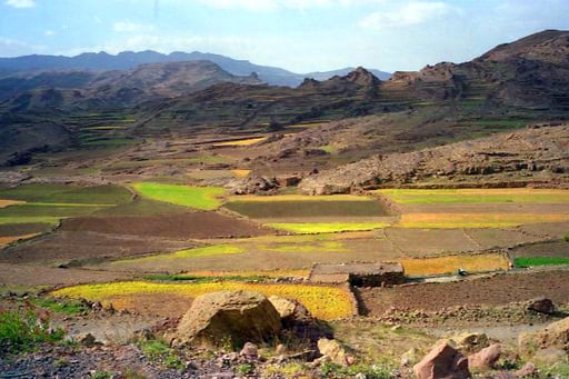 für die Früchte der Felder war der Regen ein Segen