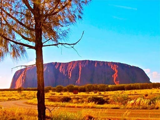 der einzige Baum weit und breit diente mir als Vordergrund