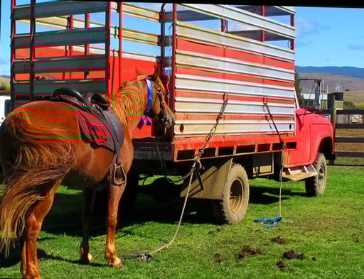das Festival ist zu Ende - Fertigmachen zur Heimfahrt