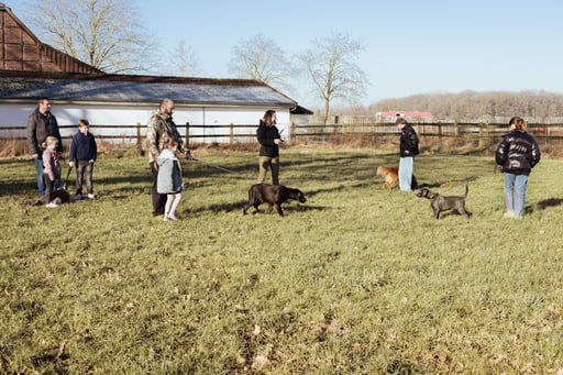 Kindertraining, Hundetraining, Everswinkel