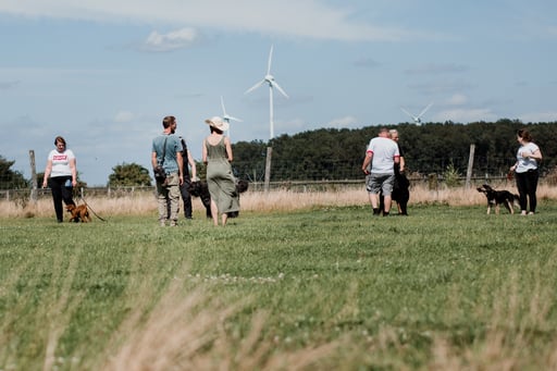 Hundeschule Münster, Hundekommunikation