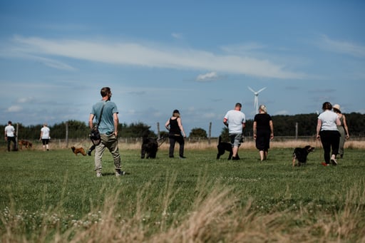 Hundeschule Münster, Leinentraining