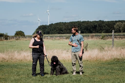 Hundeschule Münster, Gruppentraining