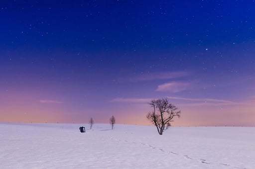 Polarnacht... Foto: Jürgen Vogel